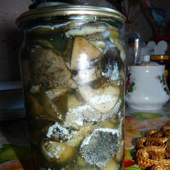 Why did salted milk mushrooms ferment and what to do?