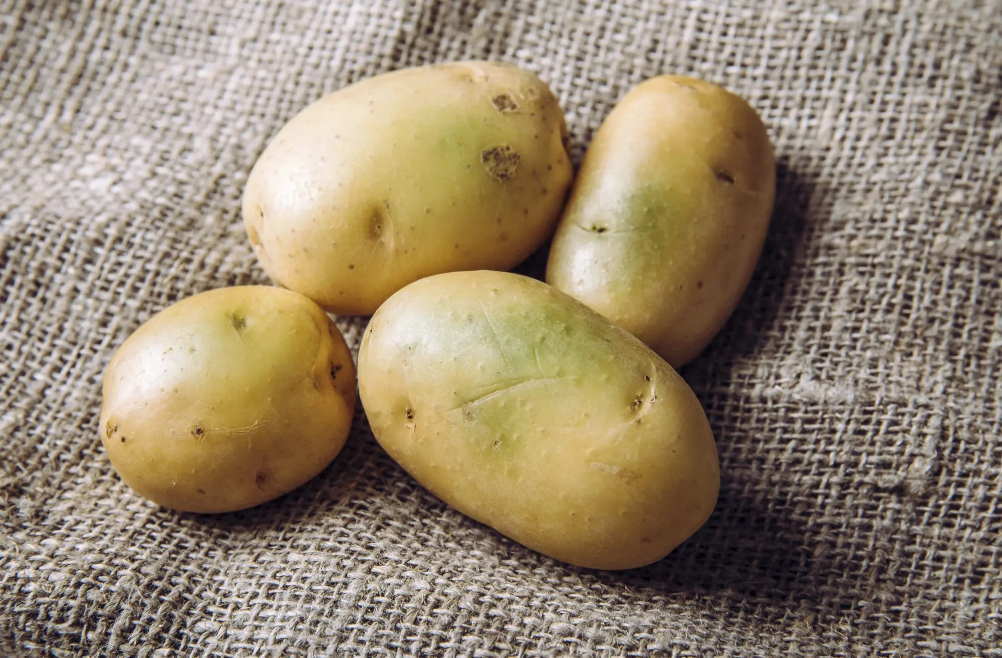 Why do potatoes turn green 