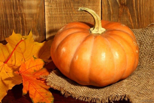 Why do pumpkin leaves turn yellow?