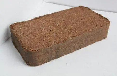 Why do we need peat tablets for seedlings