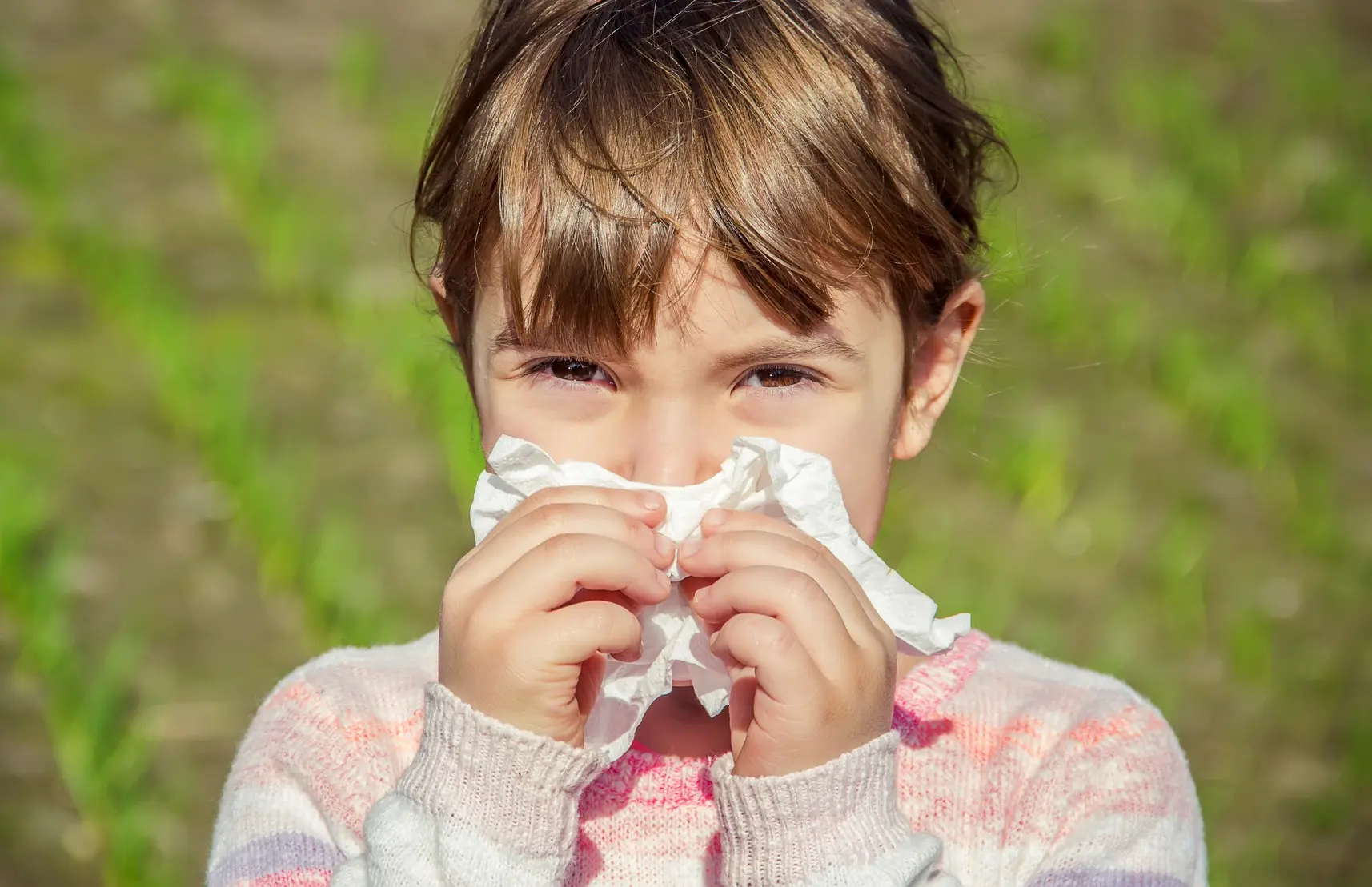 Why do we sneeze in the sun? Clearing this puzzle can help with serious diseases