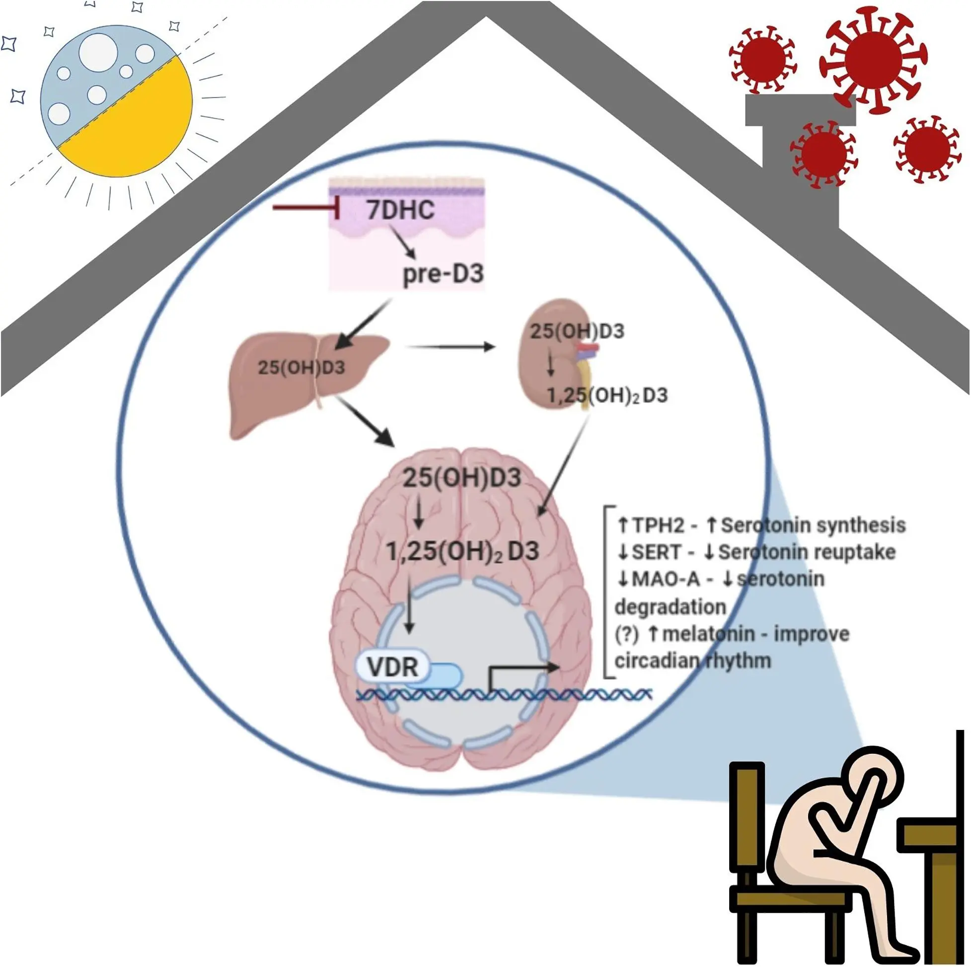 Why do you need to take vitamin D during a pandemic?