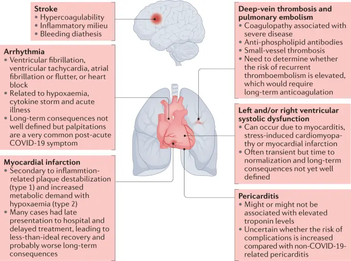 Why do young people die of heart disease? Cardiologist: there is a common denominator