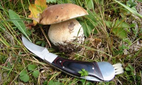 Why does a mushroom picker need a knife?
