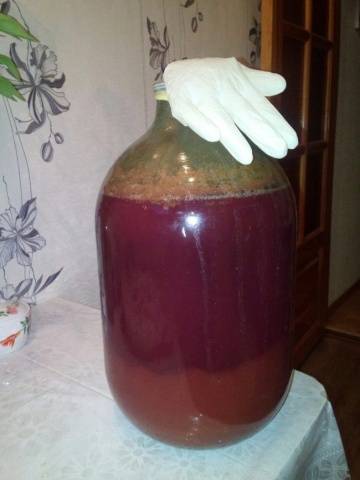 Why homemade wine stopped fermenting