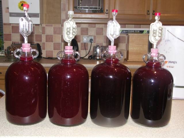 Why homemade wine stopped fermenting