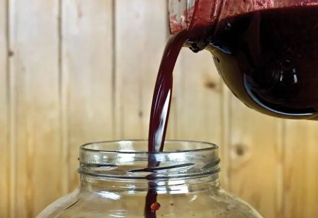 Why homemade wine stopped fermenting