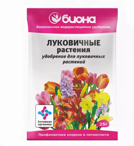 Why imperial hazel grouses do not bloom in spring: what to do if there are only leaves