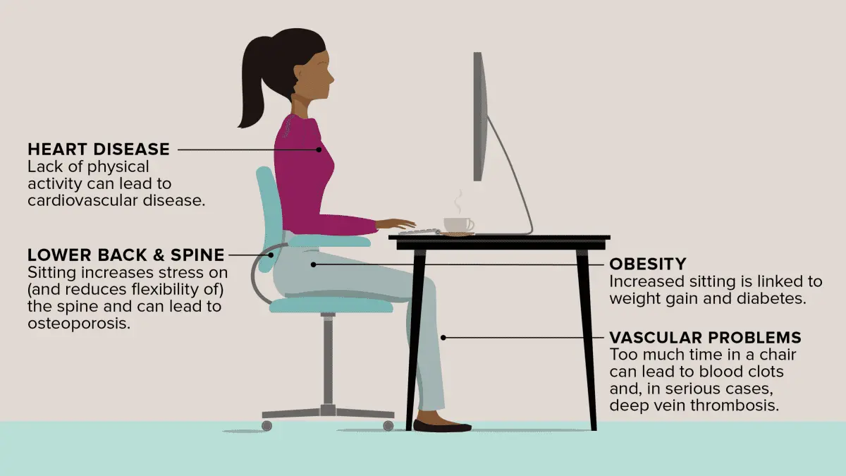 Why is sedentary work harmful to us? We know the reasons