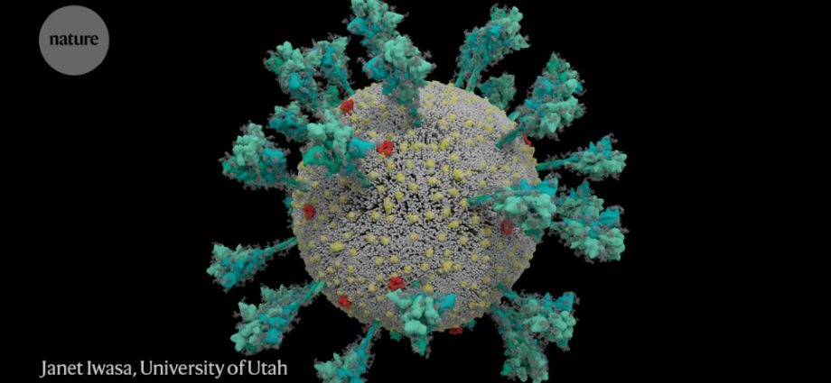 Why is the Delta variant so easily transferred from one person to another? Scientists know the answer