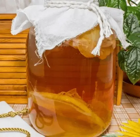 Why kombucha foams: diseases and their treatment with a photo, what to do and how to reanimate