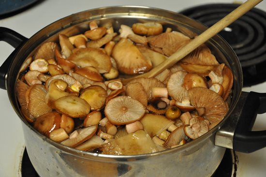 Why mushrooms are bitter: frozen, salted, boiled, fried