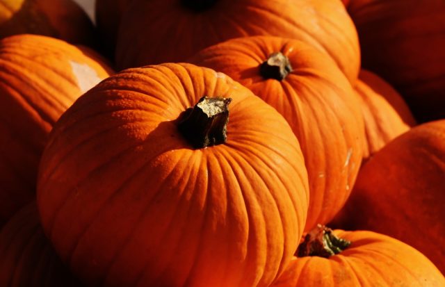 Why pumpkin is useful: composition, calorie content, vitamin content