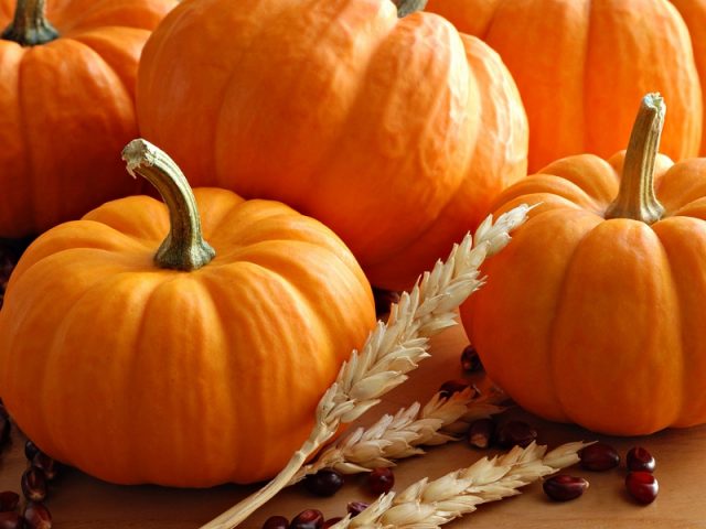 Why pumpkin is useful: composition, calorie content, vitamin content