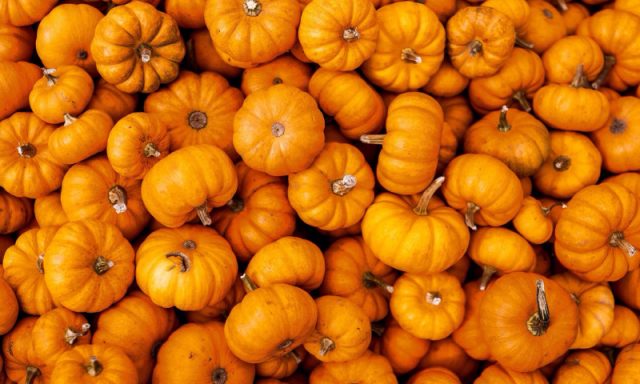 Why pumpkin is useful: composition, calorie content, vitamin content