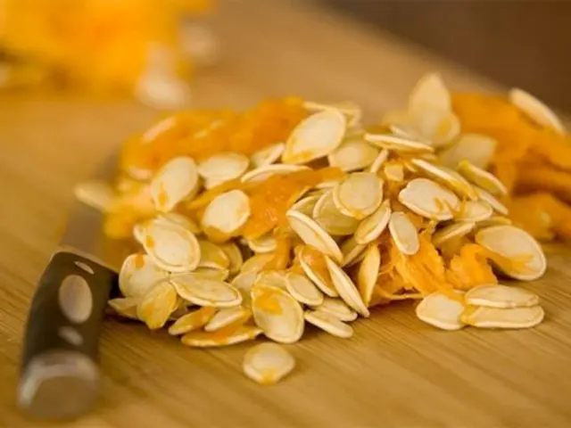 Why pumpkin seeds are useful for the body: composition, calorie content, content of BJU, zinc