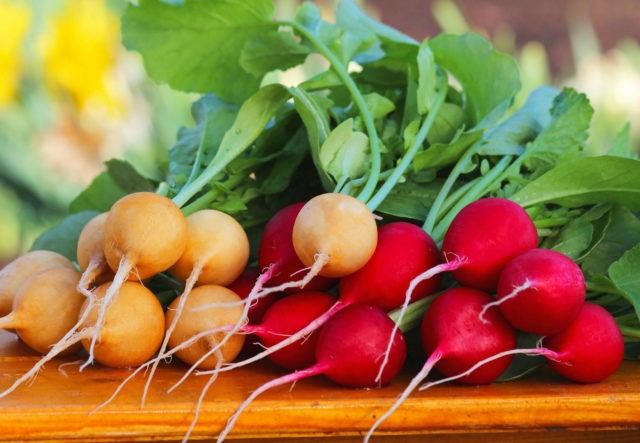 Why radishes go into the arrow (into the tops): reasons for what to do