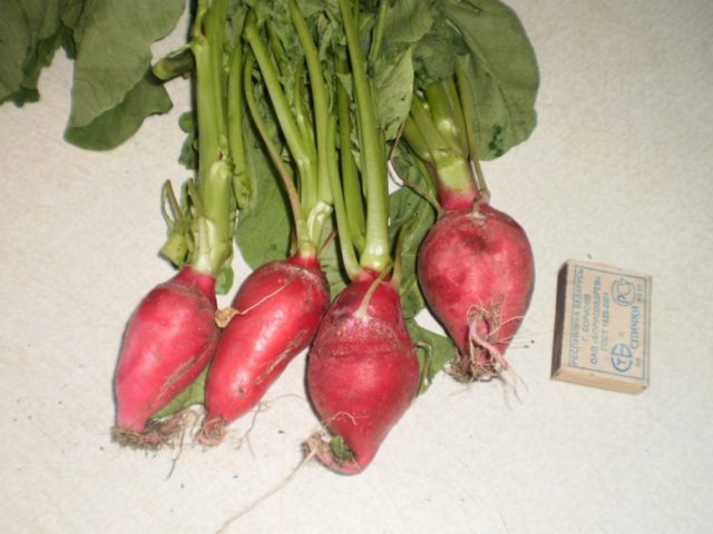 Why radishes go into the arrow (into the tops): reasons for what to do