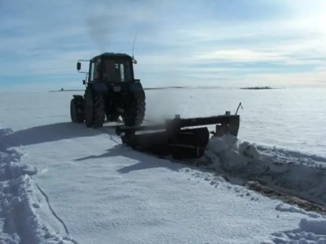 Why snow retention in the fields and in the garden: photo, technology