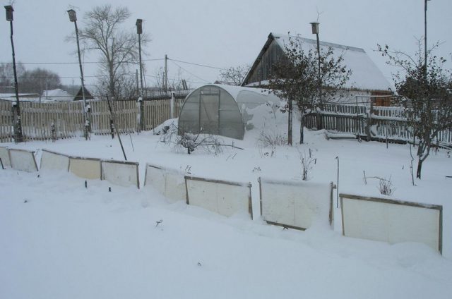 Why snow retention in the fields and in the garden: photo, technology