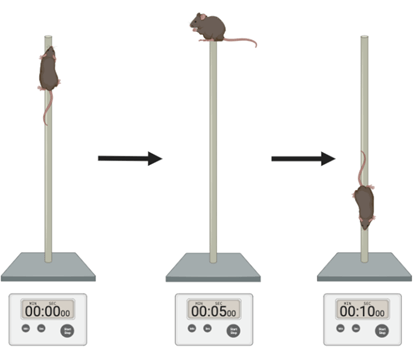 Why the National Health Test of Poles?