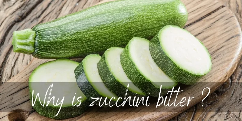 Why zucchini is bitter: several reasons for bitterness