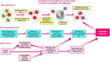 Will the coronavirus be defeated? Have we learned anything from previous pandemics?