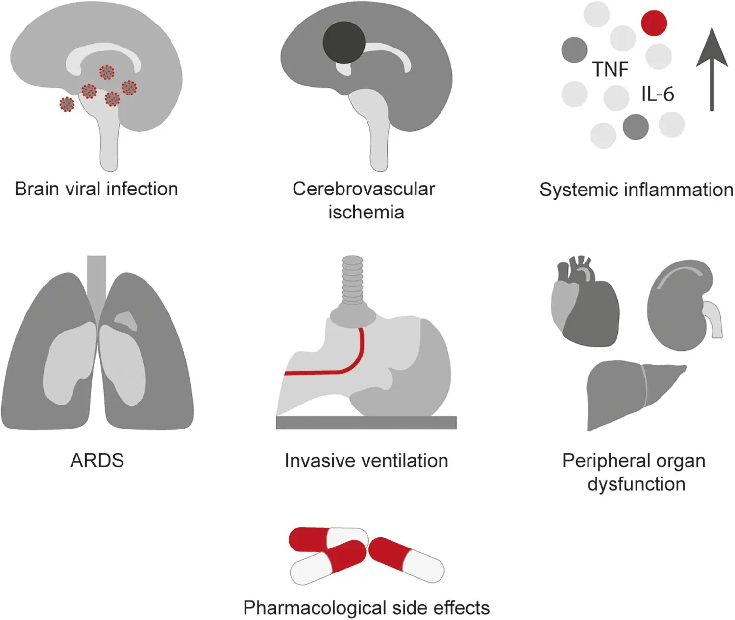 &#8220;Will there be a wave of COVID-19 related memory impairment and dementia in the future?&#8221;