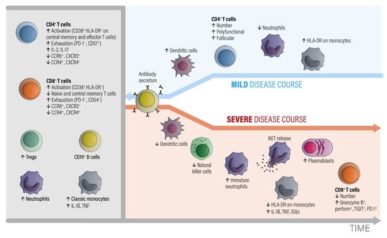 Will we have to vaccinate against COVID-19 all our lives? &#8220;It is not excluded&#8221;