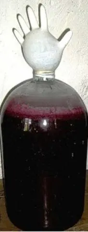 Wine from sultana grapes at home