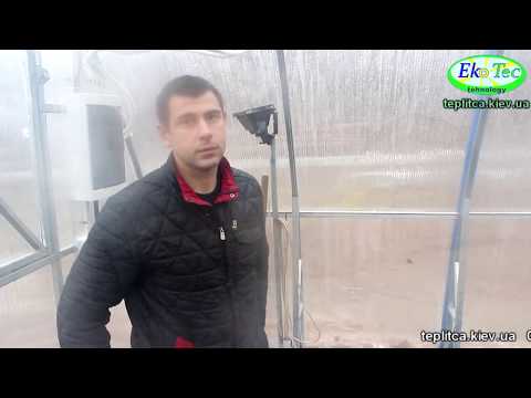 Winter polycarbonate greenhouses with heating: tips