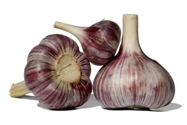 Winter variety of garlic Komsomolets: reviews + photos