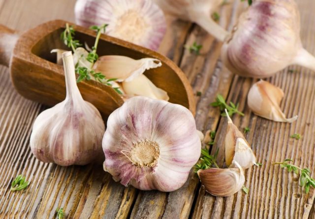 Winter variety of garlic Komsomolets: reviews + photos