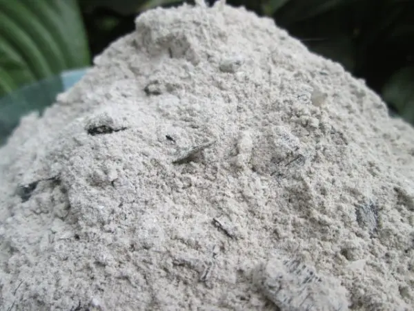 Wood ash: use in the garden and in the garden