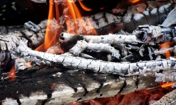 Wood ash: use in the garden and in the garden