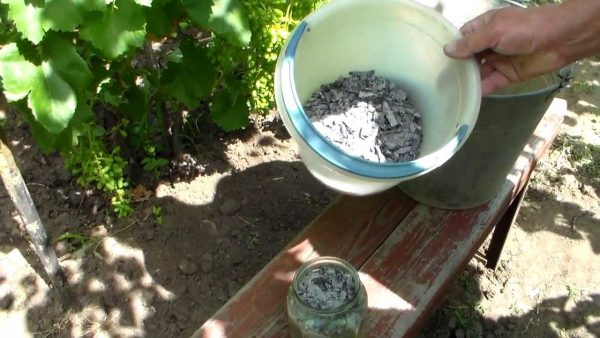 Wood ash: use in the garden and in the garden