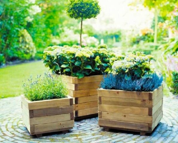 Wooden flowerbeds: original and unusual ideas + making guide