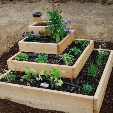 Wooden flowerbeds: original and unusual ideas + making guide