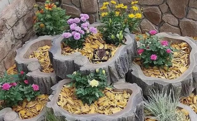 Wooden flowerbeds: original and unusual ideas + making guide