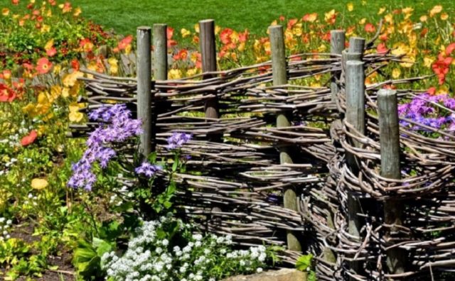 Wooden flowerbeds: original and unusual ideas + making guide