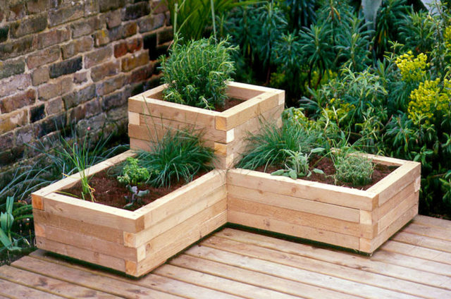 Wooden flowerbeds: original and unusual ideas + making guide