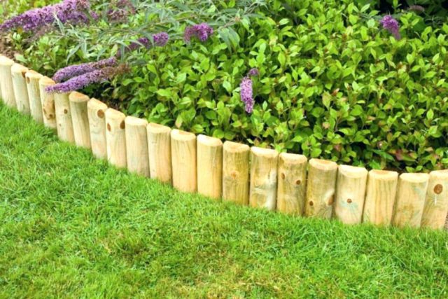 Wooden flowerbeds: original and unusual ideas + making guide