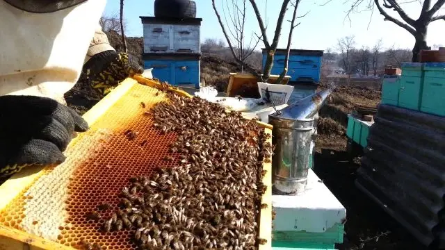 Work in the apiary in August, September