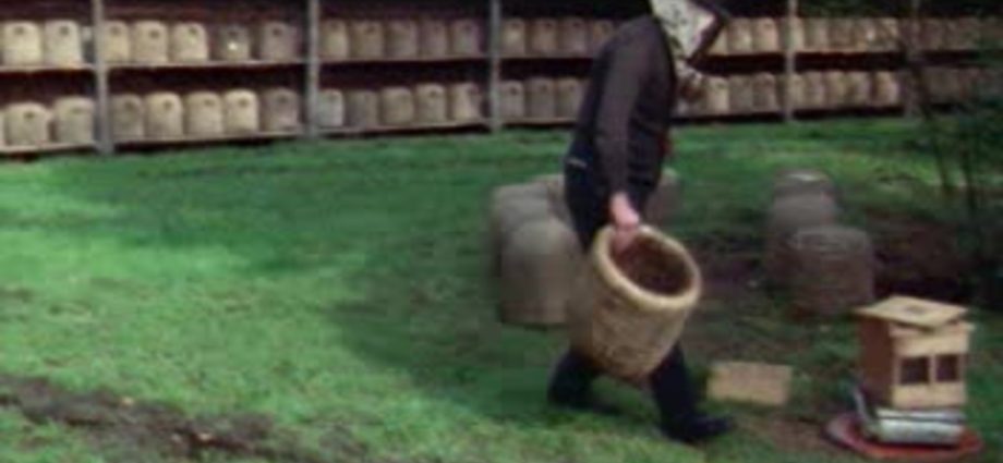 Work in the apiary in August, September