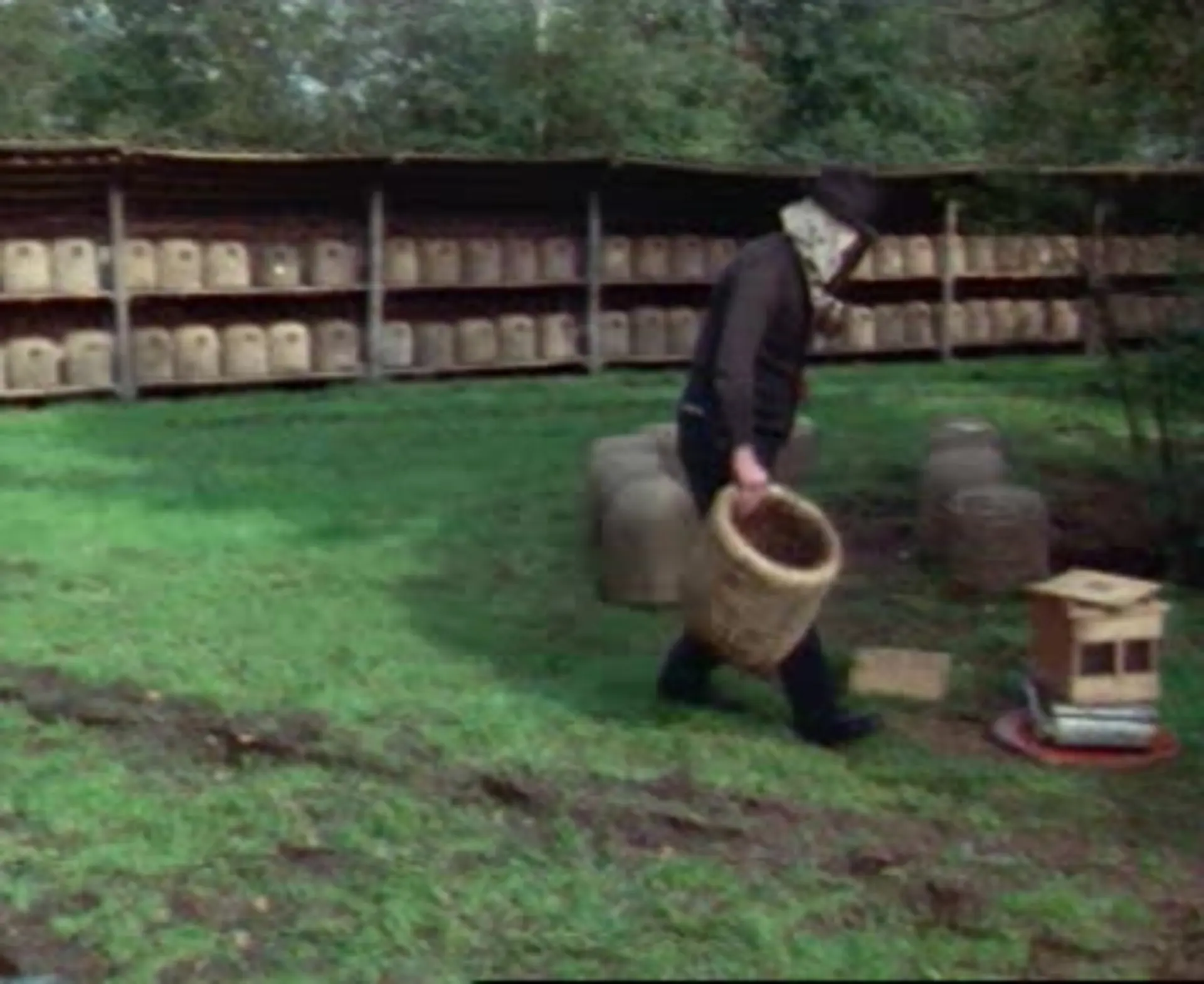 Work in the apiary in August, September