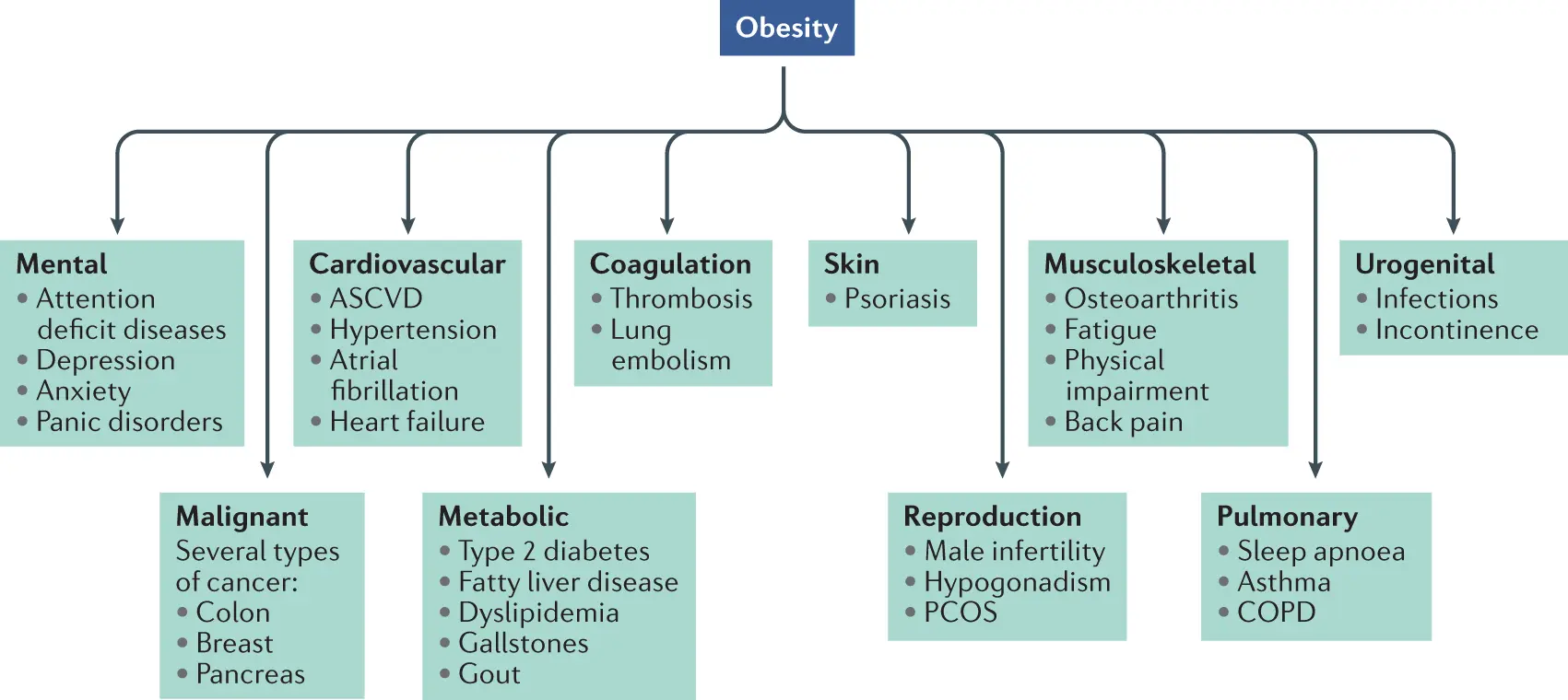 Xenical &#8211; indications, dosage, contraindications to the use of the preparation for the treatment of obesity