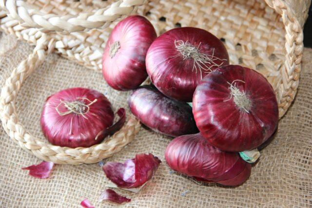 Yalta red onion: growing from seeds in the Moscow region, benefits and harms, reviews