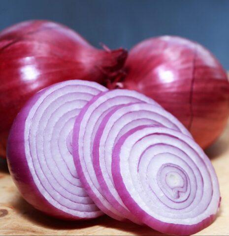 Yalta red onion: growing from seeds in the Moscow region, benefits and harms, reviews