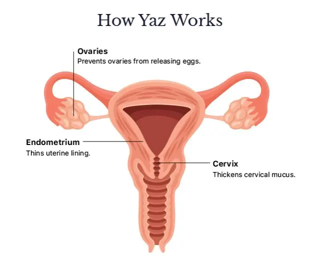 Yaz &#8211; how does the contraceptive work? When can it be used?