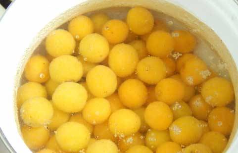 Yellow cherry plum tkemali sauce 